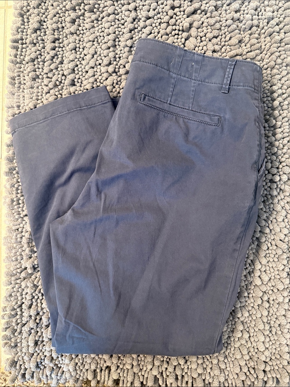 LOFT Navy Blue Women’s Chino Pants